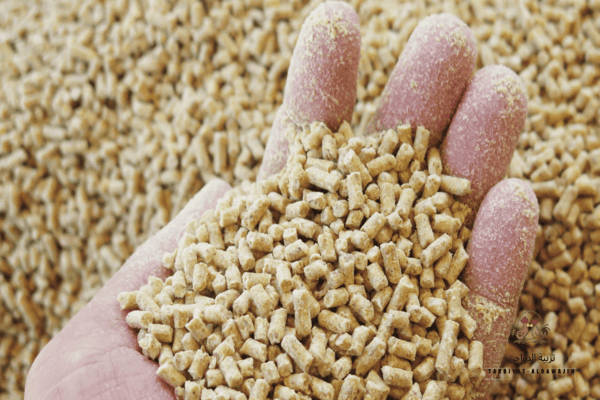 علف الدواجن التسمين 